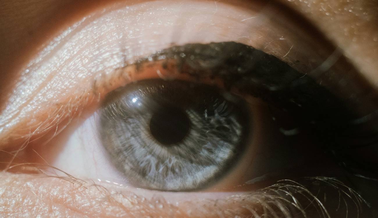 miopia organizacional