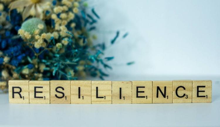 resiliencia resiliencia