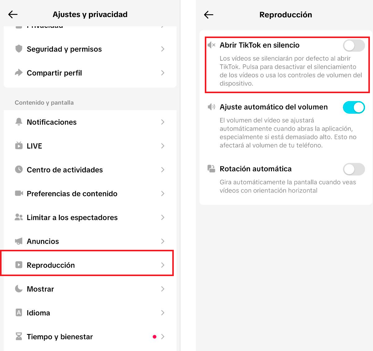 tiktok en silencio