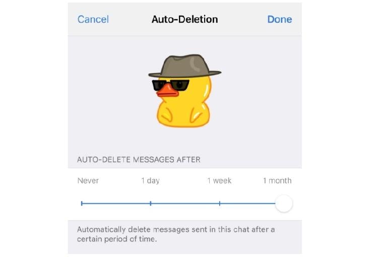 autoeliminacion Telegram