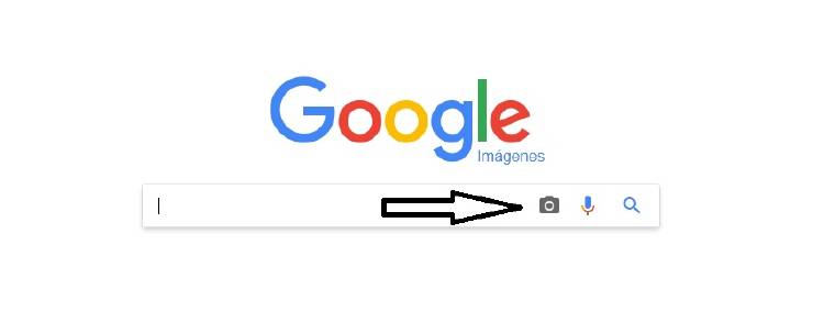 Cómo buscar por imagen en Google desde el móvil? | MÁSMÓVIL