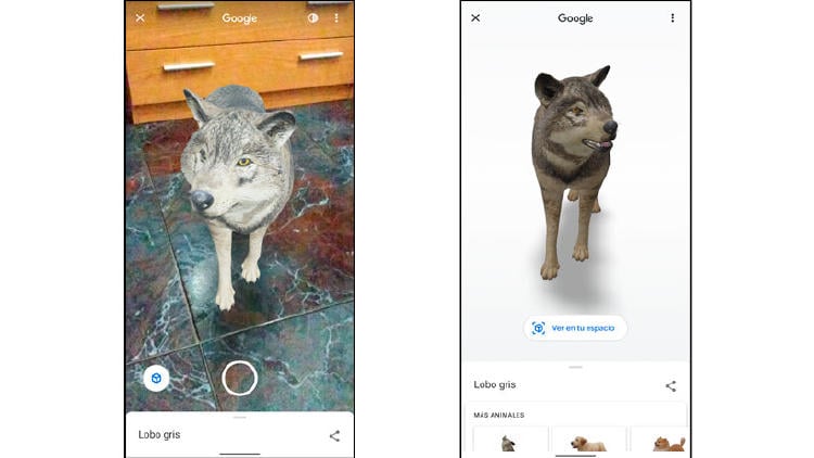 lobo realidad aumentada lobo realidad aumentada