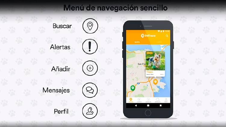 Cómo localizar a tu perro o mascota desde una app Cómo localizar a tu perro o mascota desde una app