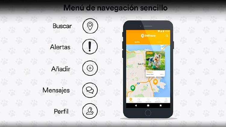 Cómo localizar a tu perro o mascota desde una app