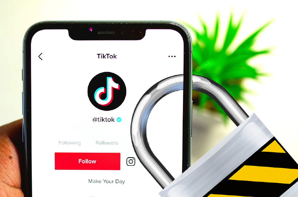 tiktok bloqueado
