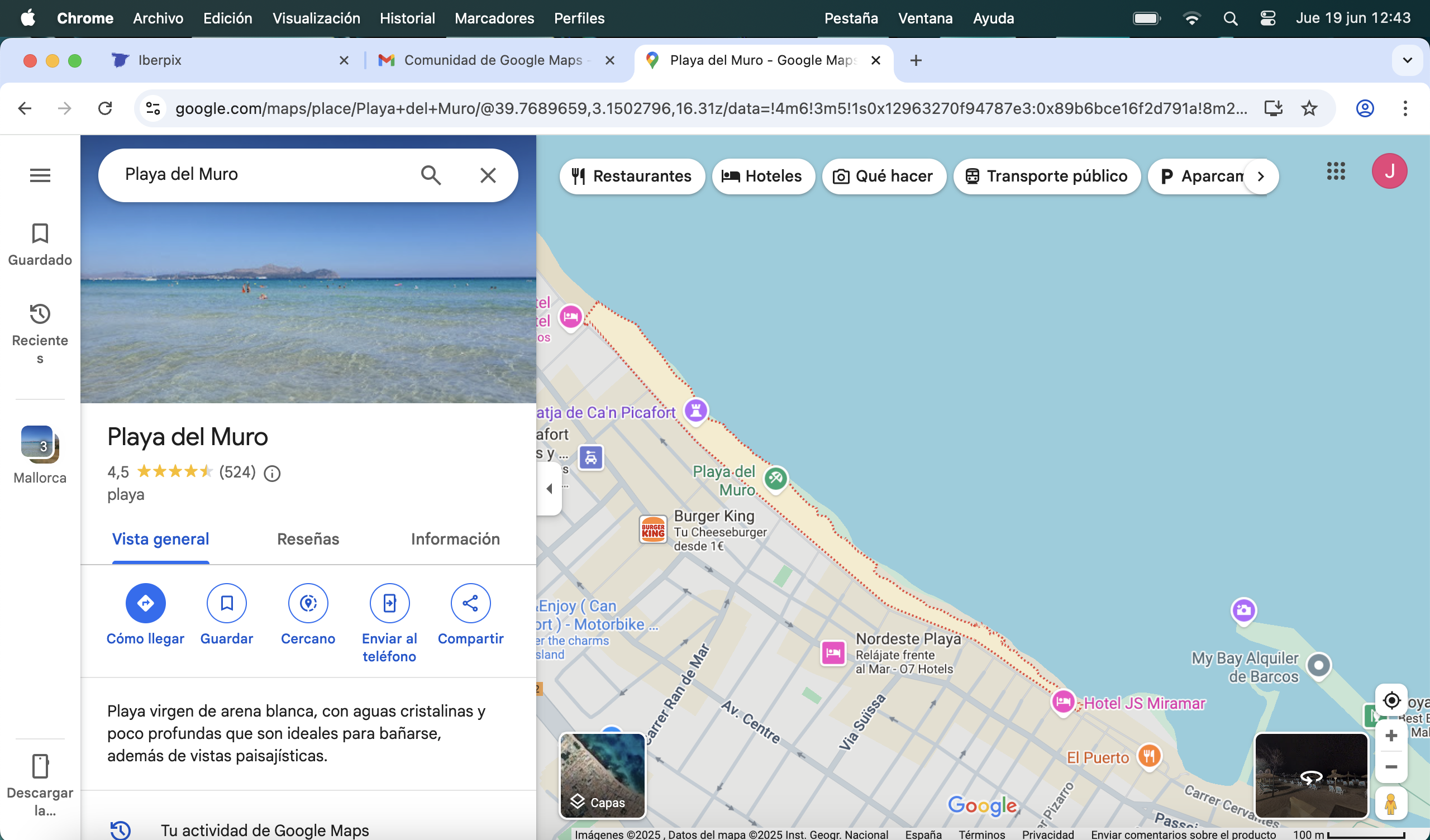 Google Maps 