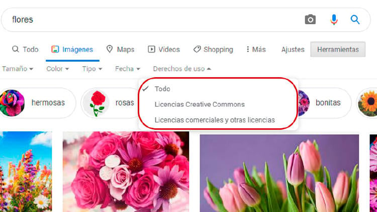 derechos imágenes google