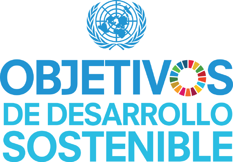 objetivos desarrollo sostenible objetivos desarrollo sostenible