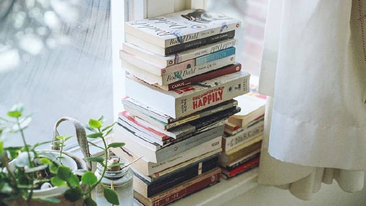 libros lectura libros lectura