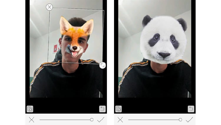 apps filtros animales
