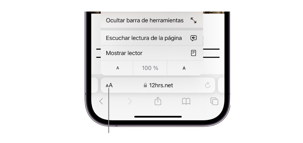 modo lector iPhone