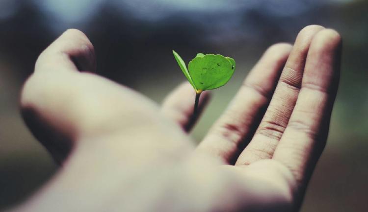 que es growth partner Qué es growth partner