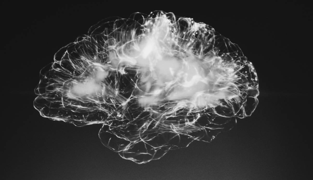 neuroliderazgo