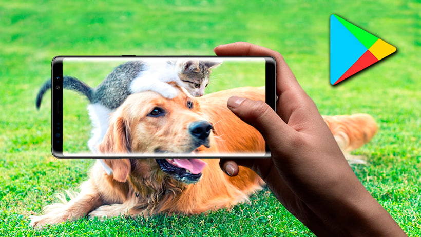 Las mejores apps para gatos y perros gratis en tu móvil