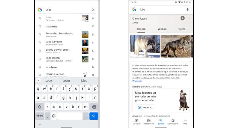 animal realidad aumentada google animal realidad aumentada google