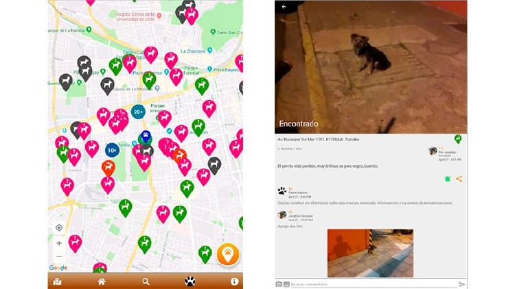 Encontrar perros perdidos Encontrar perros perdidos