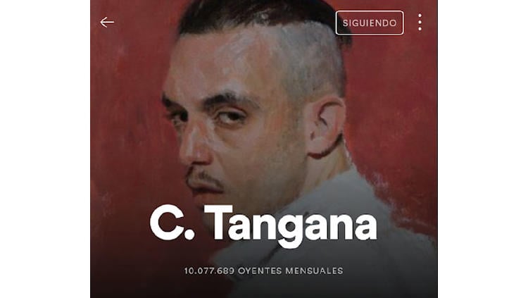 seguir spotify cantantes