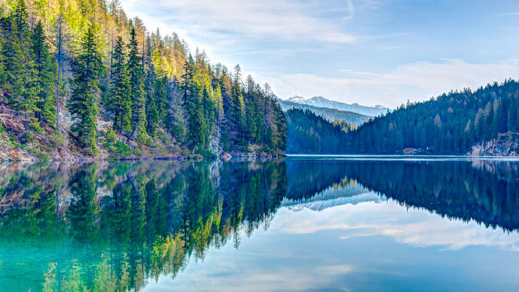 paisaje verano paisaje verano