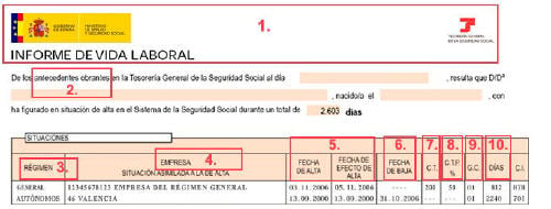 informe de vida laboral datos