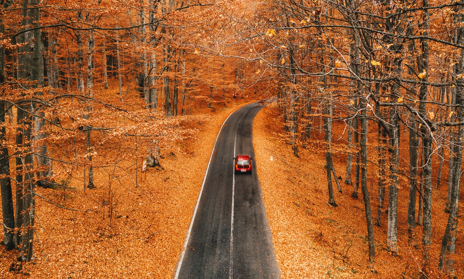 coche en oto&ntilde;o