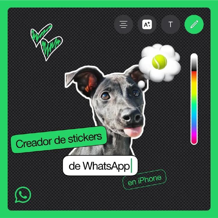 stickers whatsapp