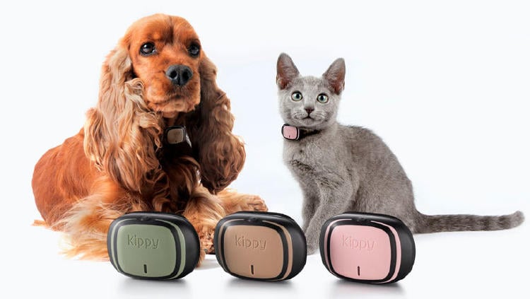 localizador gps perro gato