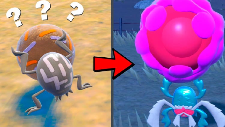 Rellor y Rabsca Rellor y Rabsca