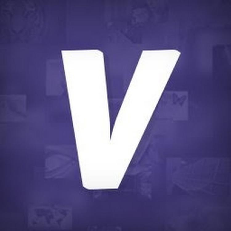 videezy videezy