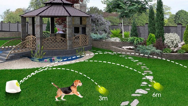lanzador-pelotas-perro-gadget lanzador pelotas perro gadget