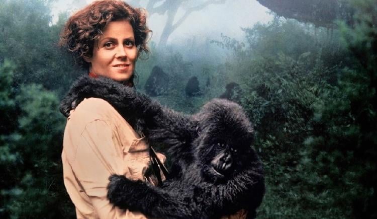 peliculas animales peliculas animales