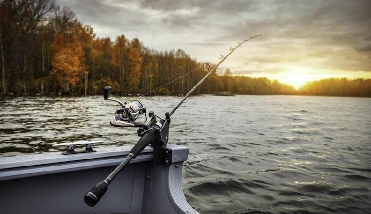 apps móviles para pesca apps móviles para pesca