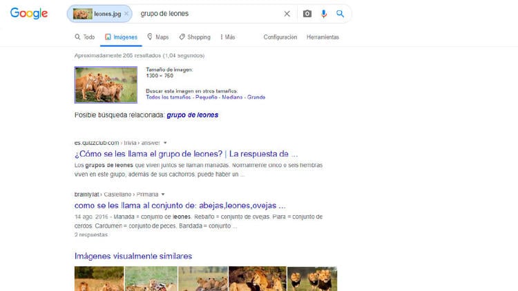 búsqueda inversa por imagen google