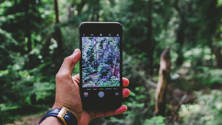 hacer fotos boton volumen iphone 2 hacer fotos boton volumen iphone 2