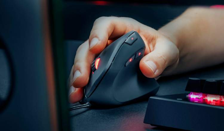 trust vertical trust vertical