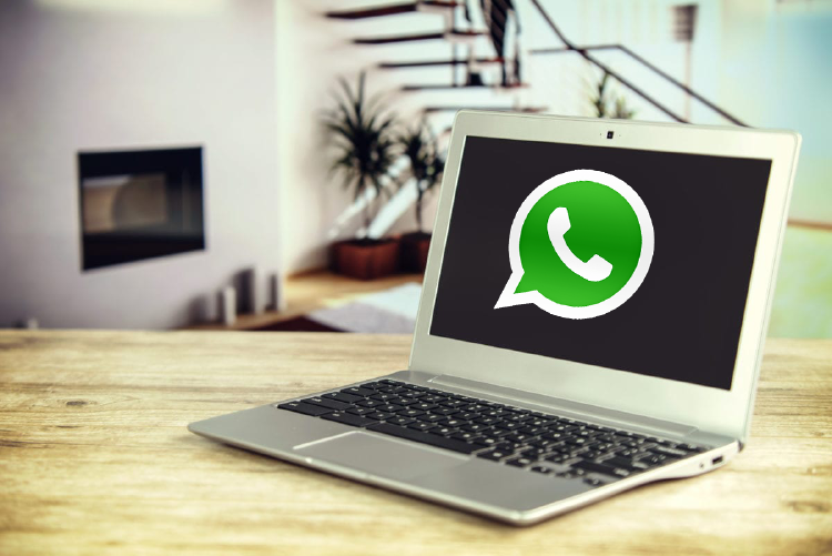 whatsapp web whatsapp web