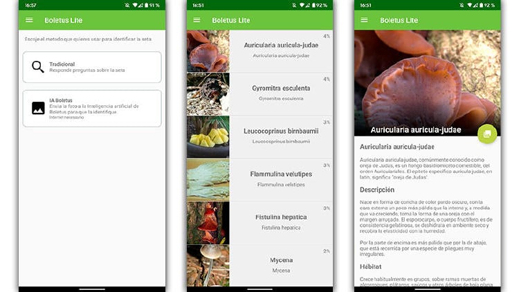 app boletus buscar setas app boletus buscar setas