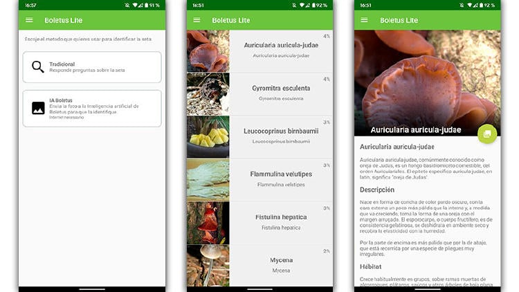 app boletus buscar setas