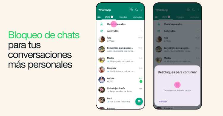 bloqueo de chats whatsapp bloqueo de chats whatsapp