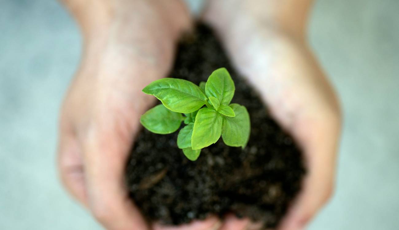 lead nurturing