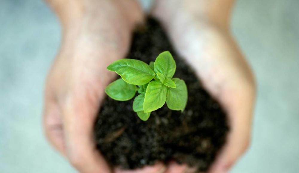lead nurturing