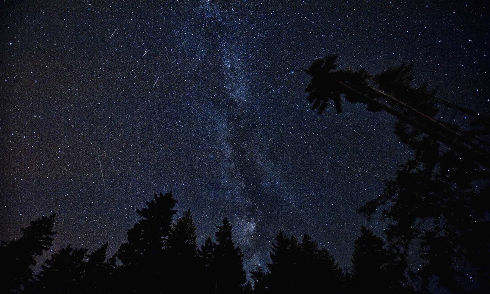 perseidas 2026 
