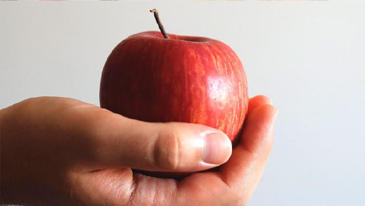 foto comida manzana fruta foto comida manzana fruta