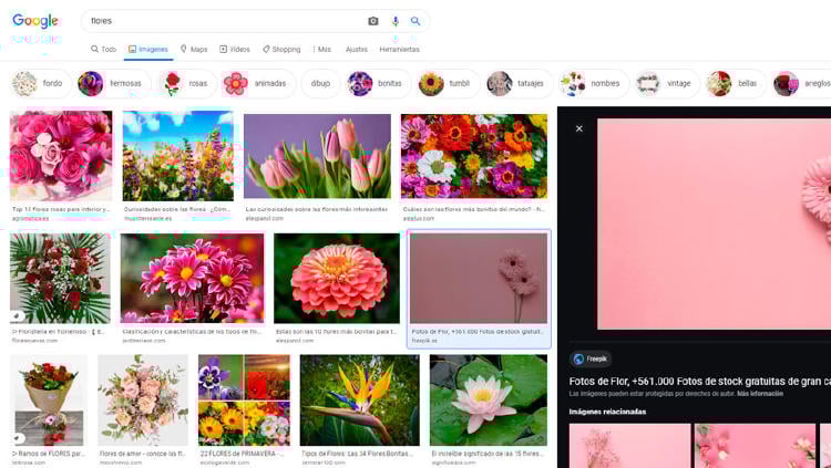 buscar imagen google buscar imagen google