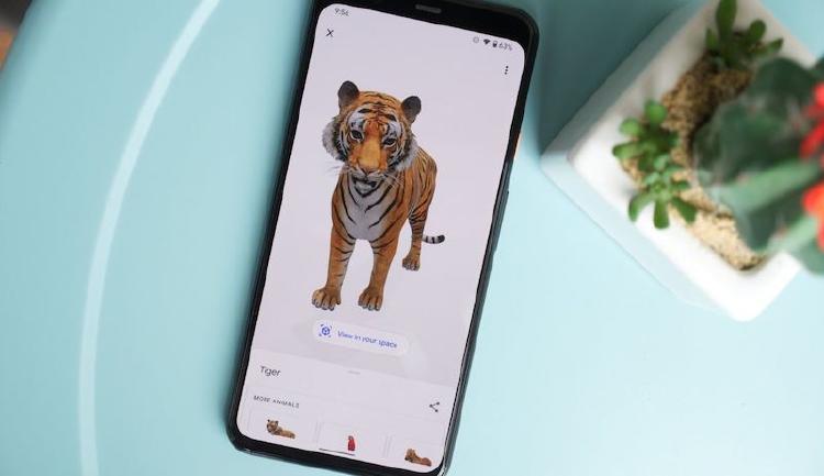 animales RA2 animales RA