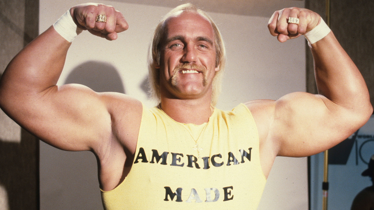 hulk hogan netflix 