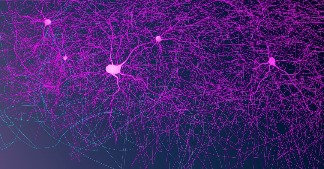 redes-neuronales