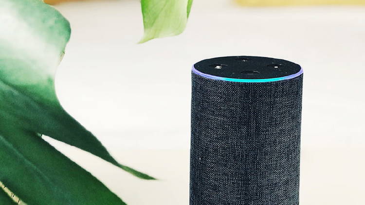 Amazon Alexa Amazon Alexa
