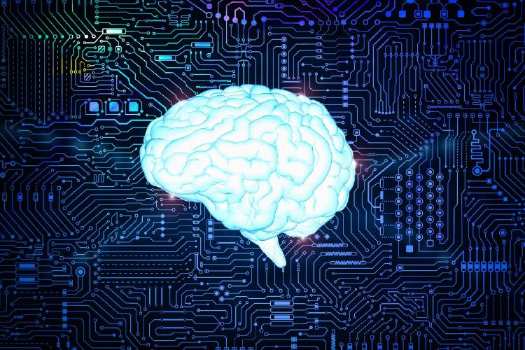 digital-brain digital-brain