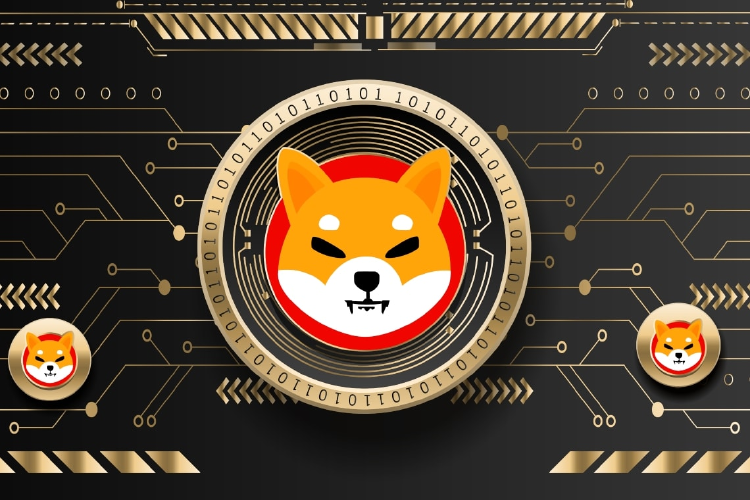 SHIB SHIB