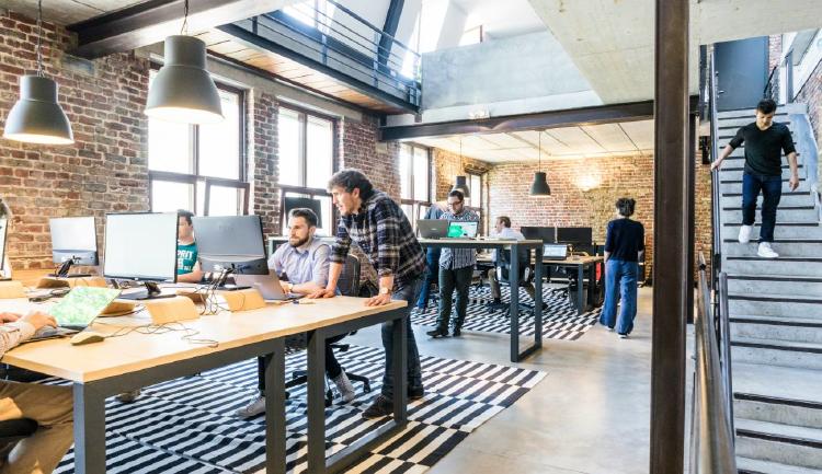 cómo hacer una startup cómo hacer una startup